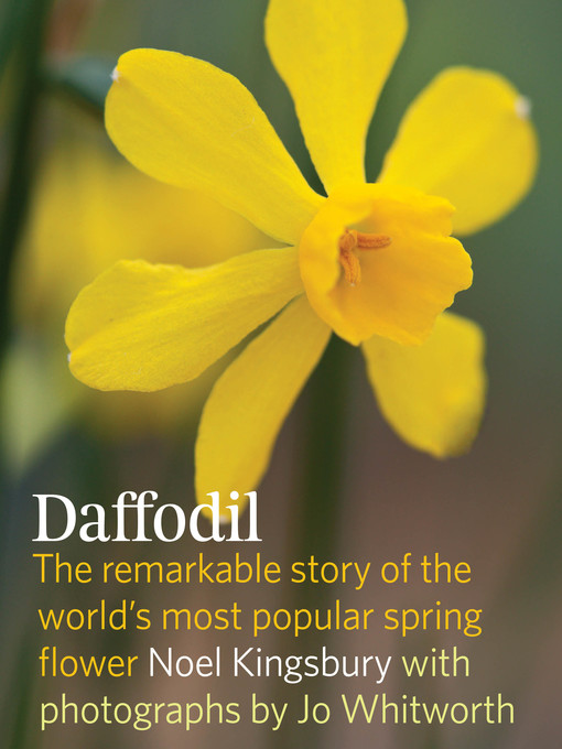 Title details for Daffodil by Noel Kingsbury - Available